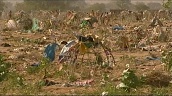 Foliage and tent frames tremble as wind blows through barren refugee camp&sbquo;  Darfur; Nov 04