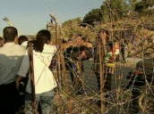 Families wave to each other across barbed wire fence at Israel/Lebanon border; May 2000