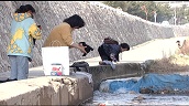 Women washing clothes in Sumiyoshi River following water shortages caused by Hanshin Earthquake&sbquo;  City of Kobe; 22 January 1995