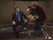 Sir Michael Parkinson asks Rob Hull if Emu is male or female&sbquo;  Emu then attacks Sir Michael and wrestles him to the floor; November 1976