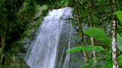 Waterfall cascading through forest greenery, Puerto Rico