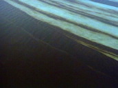 Track over oil slick in Gulf&sbquo;  Saudi Arabia&sbquo; 1991