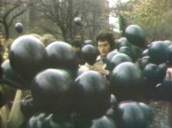 Anti-war protestors make bundles of black balloons during Vietnam Moratorium Day demonstration in Central Park&sbquo;  New York; 15 Oct 69