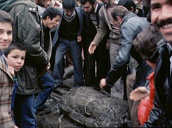 Demonstrators spit and stamp on Shah Mohammed Reza Pahlavi of Iran fallen statue&sbquo;  Tehran; 17 Jan 79