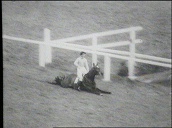 Devon Loch inexplicably jumps and falls when leading down home straight leaving ESB to come through and claim victory&sbquo;  owner of Devon Loch Queen Mother watches on from balcony&sbquo; Aintree&sbquo; 1956 Grand Na